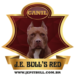 logomarca canil para pit bull
